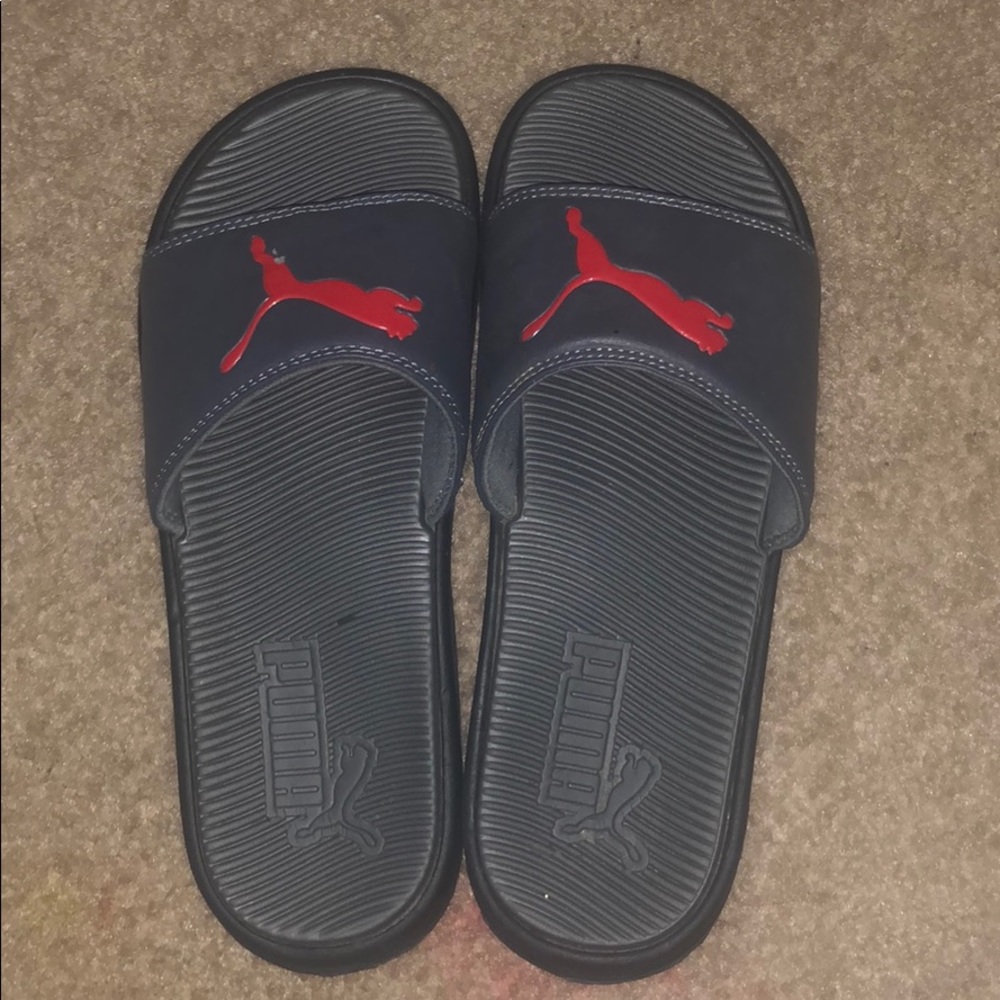 Puma slides